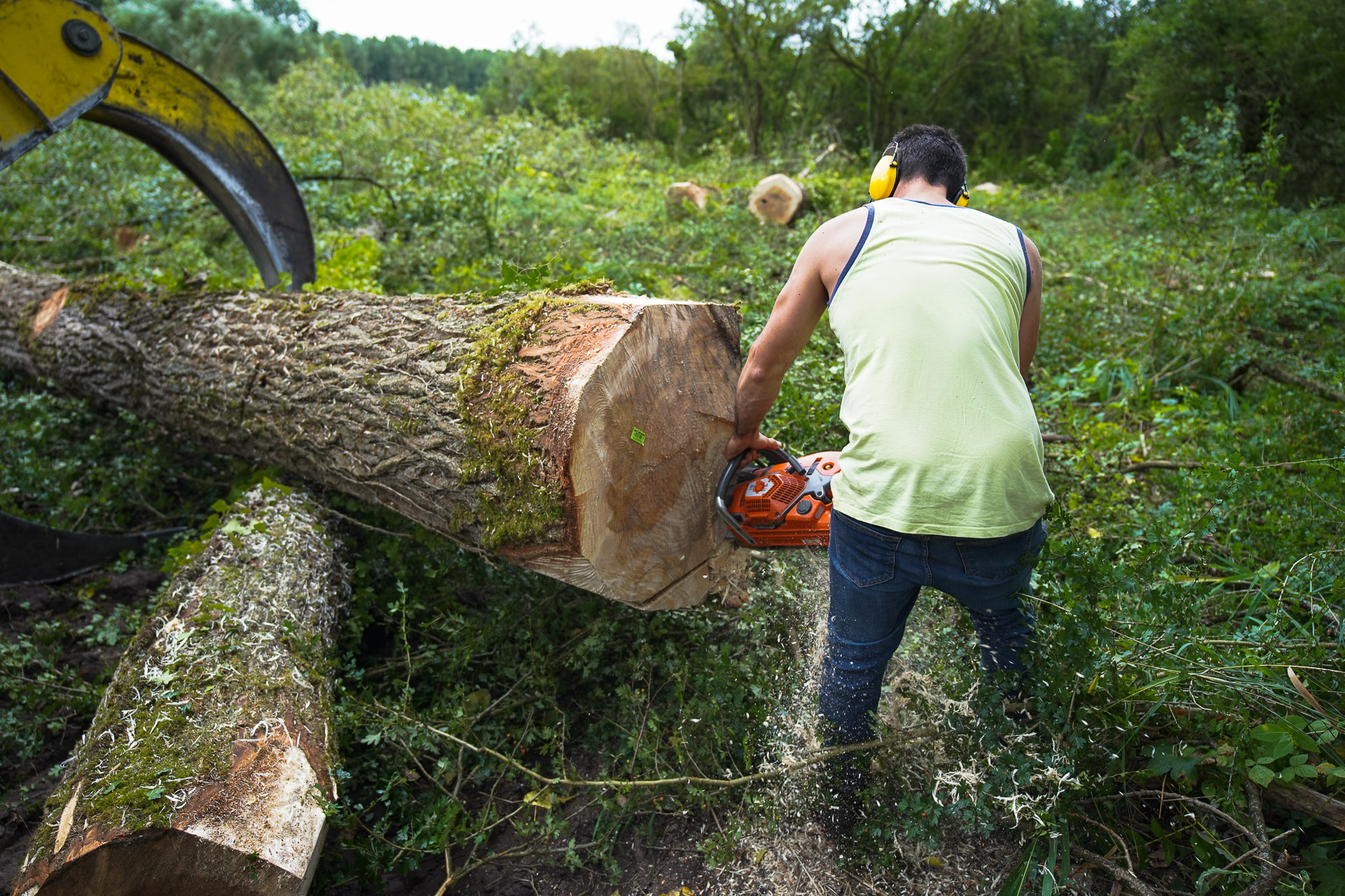 exploitant forestier à Arras