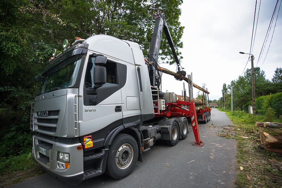 achat bois Pas-de-calaisAchat de bois dans le Pas-de-Calaisachat bois Pas-de-calais